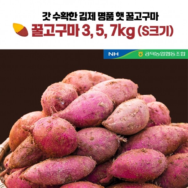 메디앙스 공식몰 아이맘,김제 햇 꿀고구마 특등급 3kg 5kg 7kg