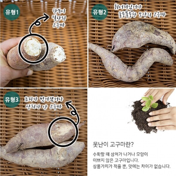 메디앙스 공식몰 아이맘,못난이 햇 꿀 고구마 3kg